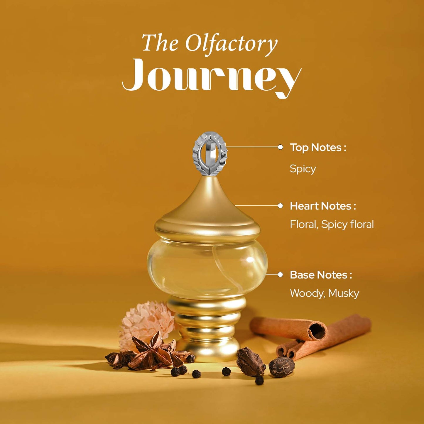 ألف ليلة و ليلة