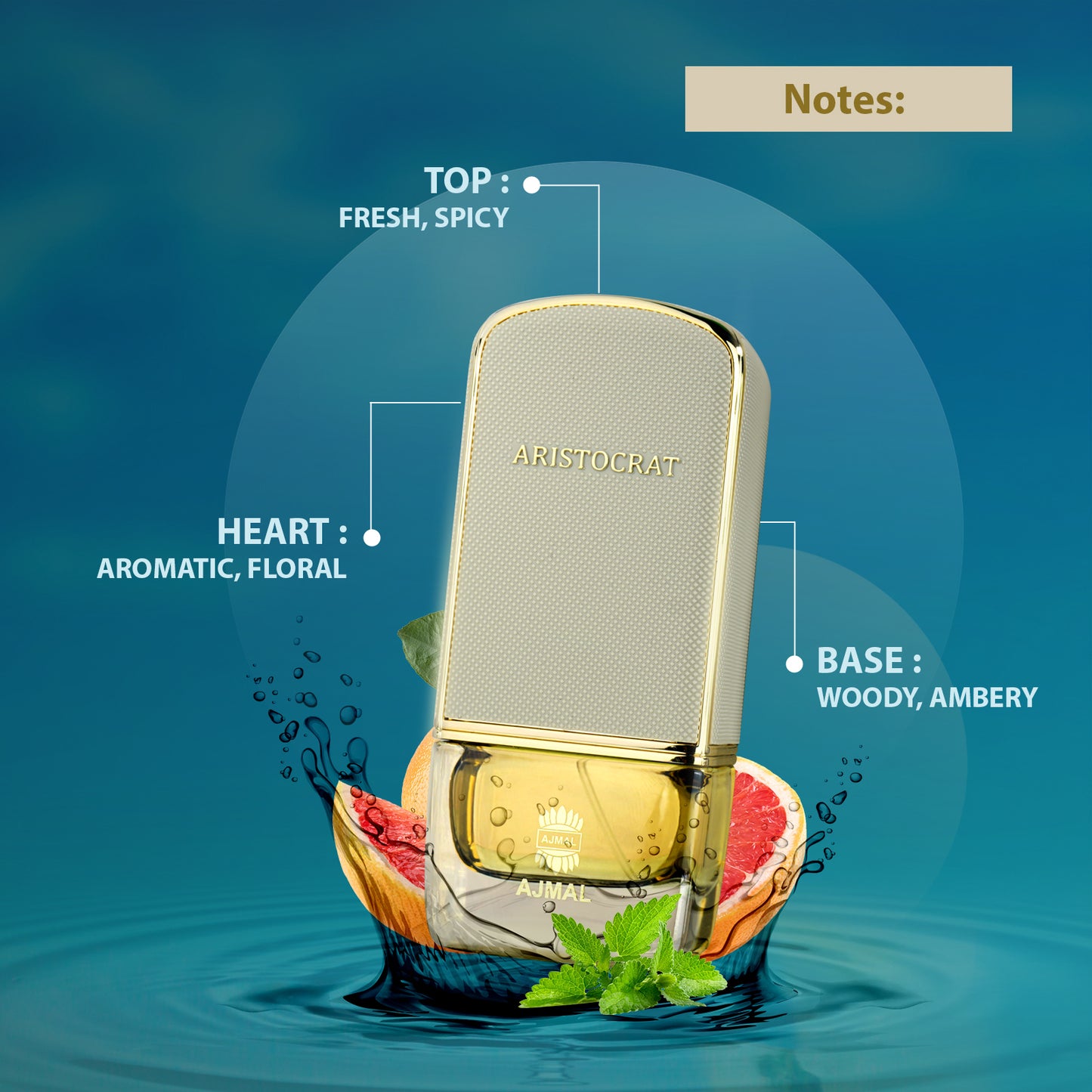 ارستقراط كوستال