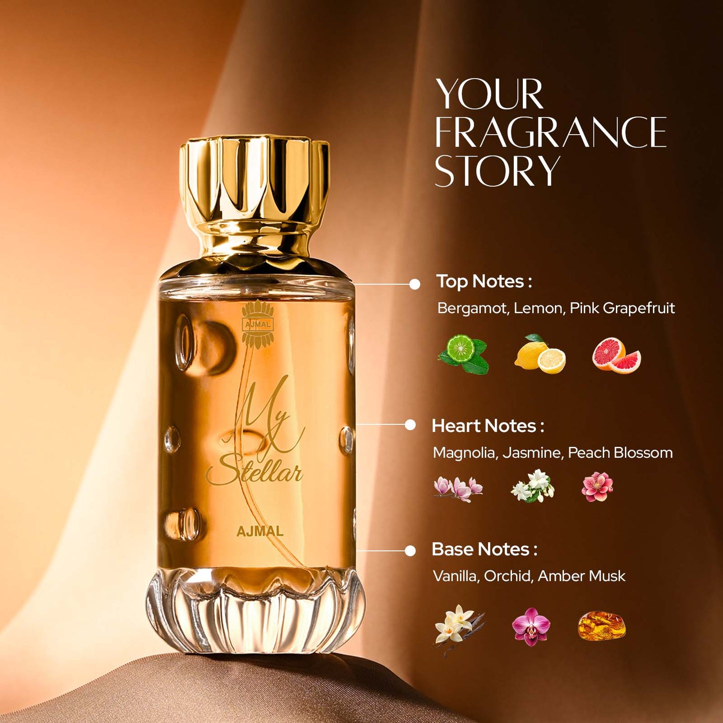 ماى استيلار