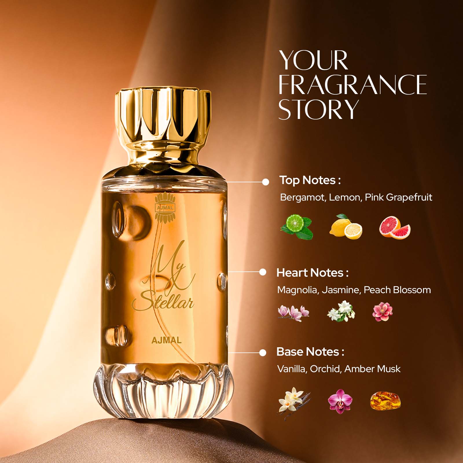 ماى استيلار