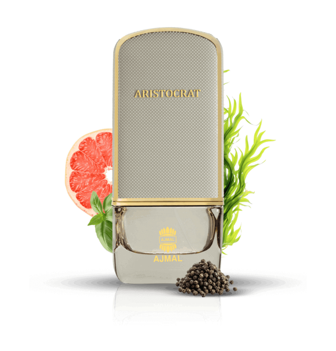 ارستقراط كوستال